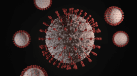 corona virus feature image