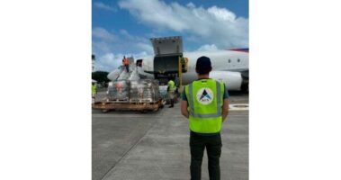 Read more about the article Air charter industry mobilises to help in Jamaica’s hour of need