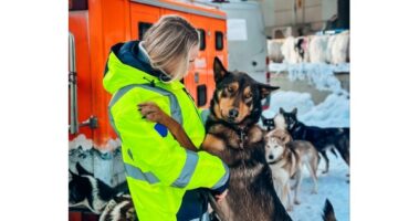 Read more about the article ACS helps get 36 huskies to sled race start line in Alaska